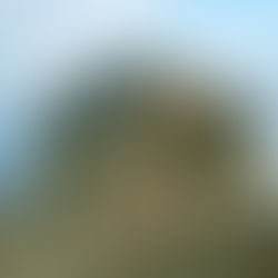 גן לאומי ציפורי  