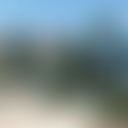 טיול במושבה הגרמנית בחיפה