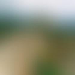 גן לאומי מבצר נמרוד