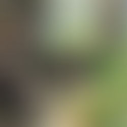 ברלין עם ילדים