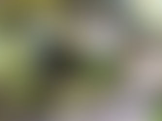 מנזר נוטר דאם דה ציון