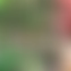 משק הלברכט גינת אוכל - כיף של מקום לקטנים ולגדולים