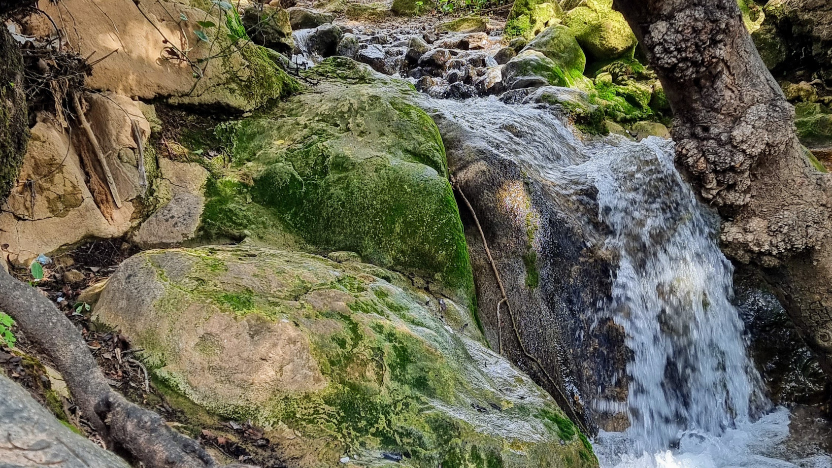Farod Stream