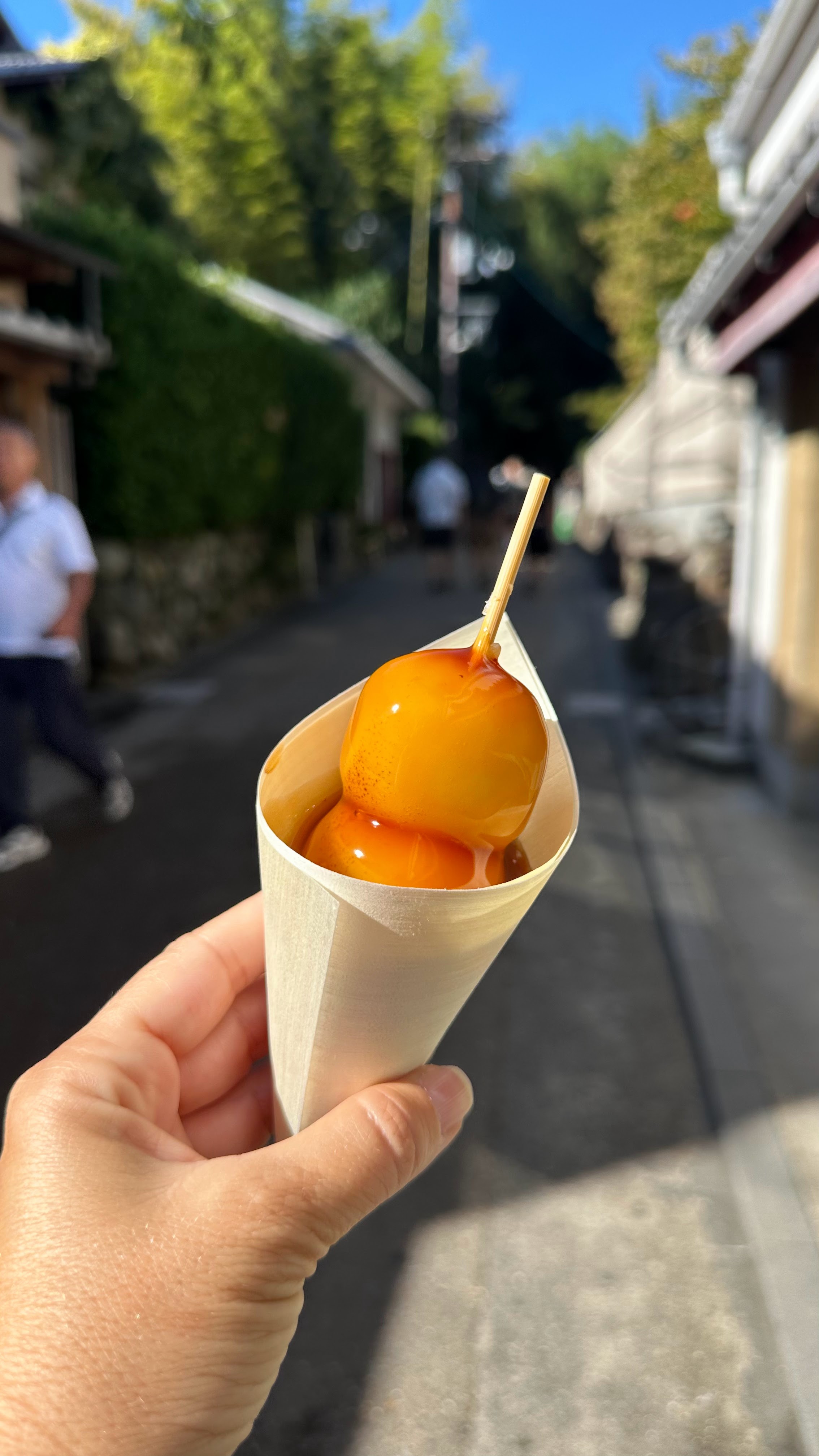 Nishiki Market: Tasting Kyoto’s Kitchen