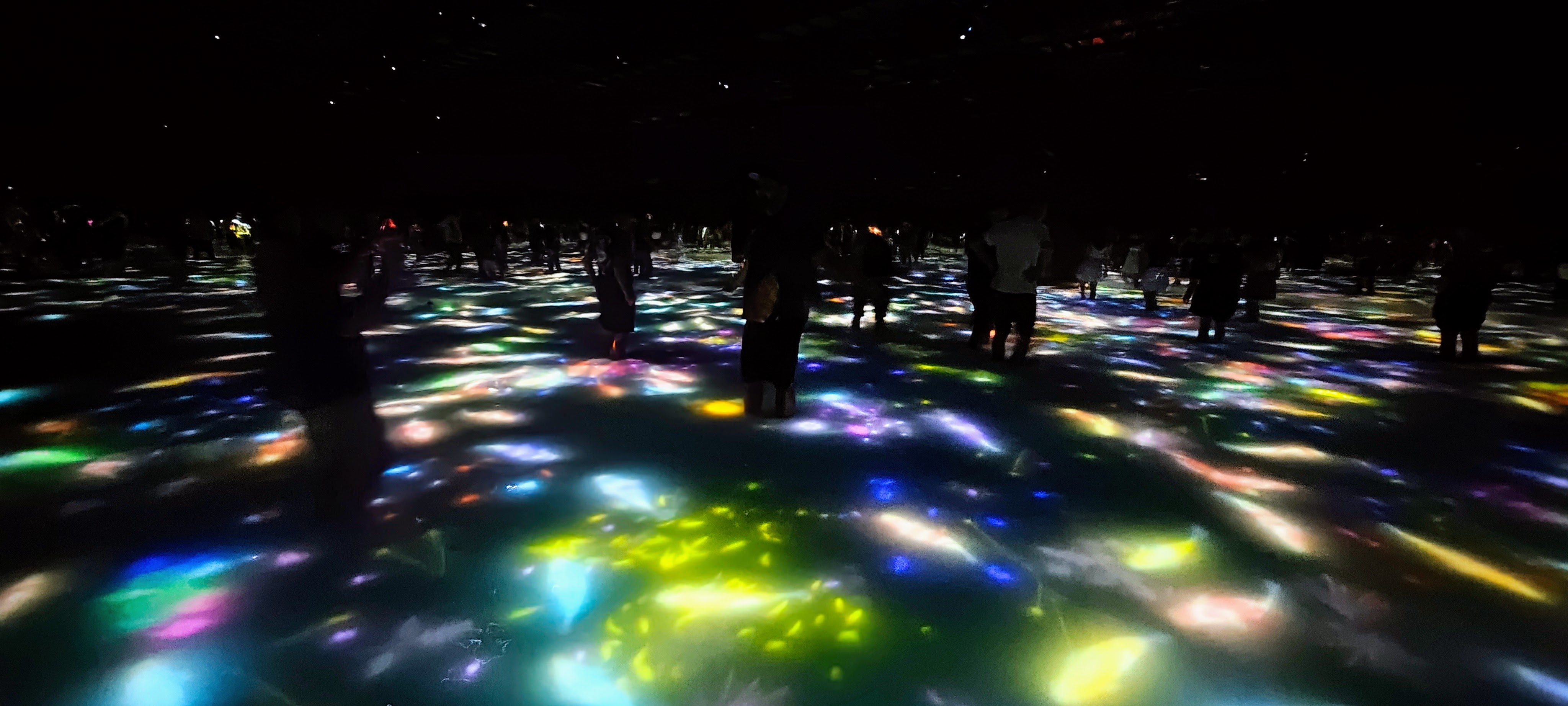 teamLab Planets: ללכת בתוך יצירת אמנות