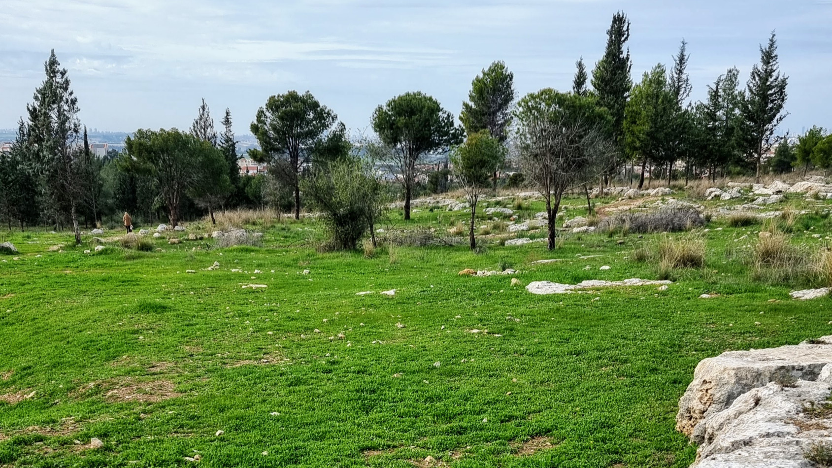 יער שוהם