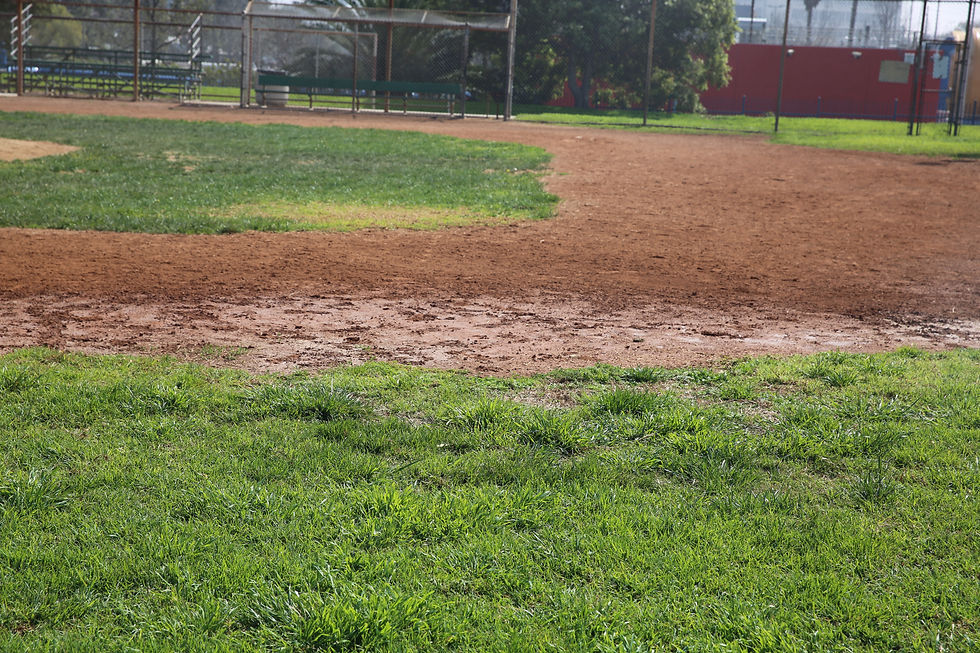 Field 1 - infield