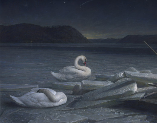 Resting Swans best for screen.jpg