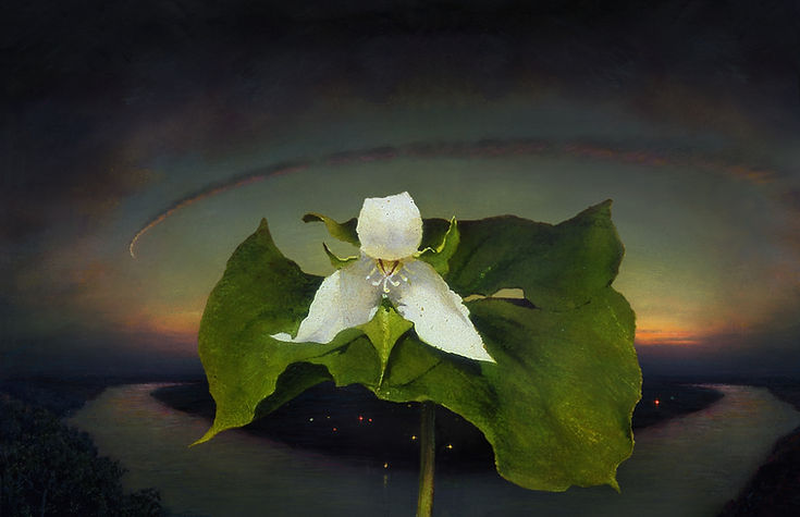 Trillium NFT2.jpg