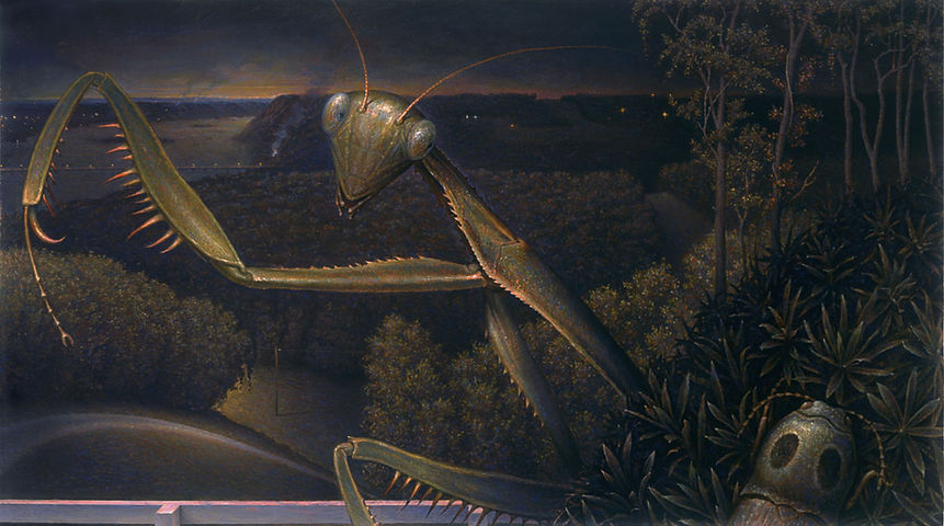 Predator9.jpg