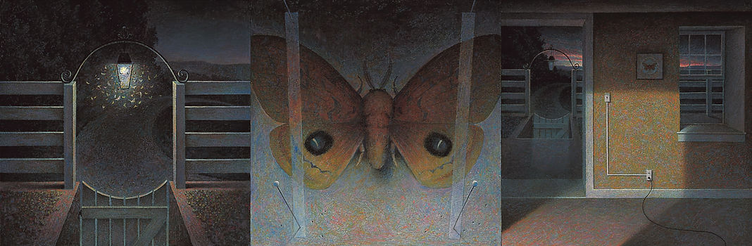 Moth8sharpdetail2.jpg