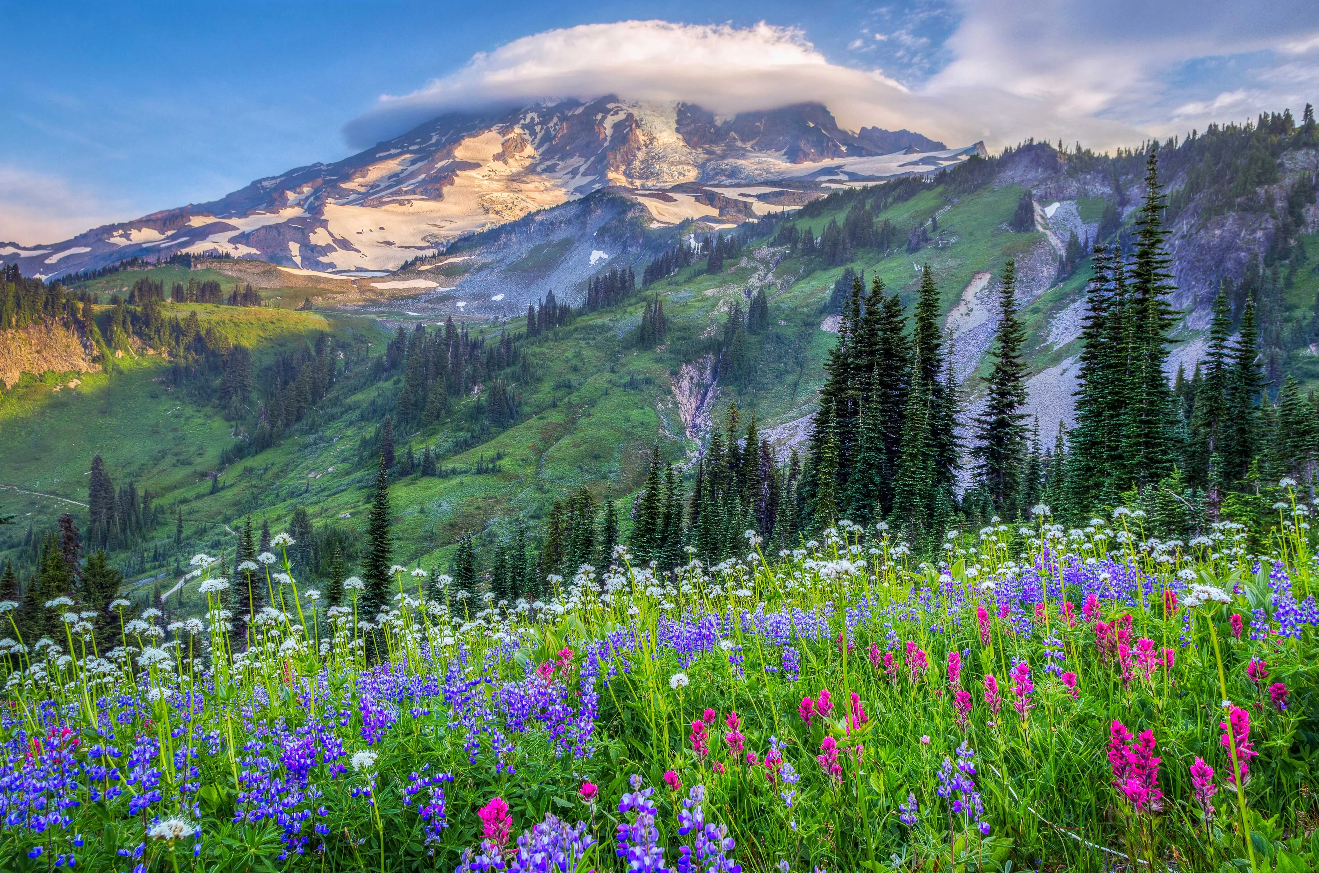 rainier-full.webp