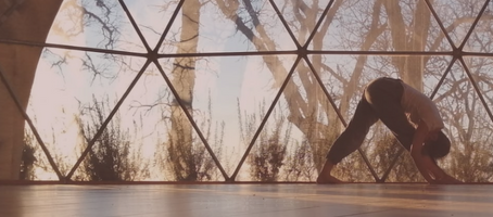 EL CUERPO COMO UN TODO. Taller de yoga con Matilde Cegarra. Sábado 15 de Octubre de 17'00 a 20'00.