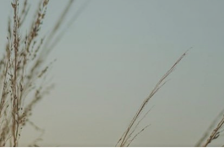 CALENDARIO DE MEDITACIÓN. (de Enero a Marzo de 2020)