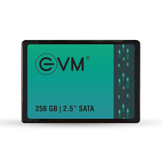 EVM 256GB 2.5-INCH SATA INTERNAL SSD WITH 5-YEAR WARRANTY (EVM25/256GB)