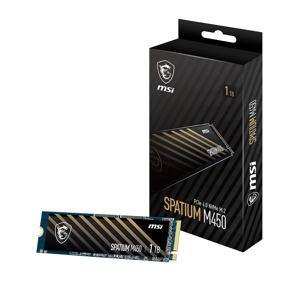 MSI SPATIUM M450 V1 1TB M.2 NVME GEN4