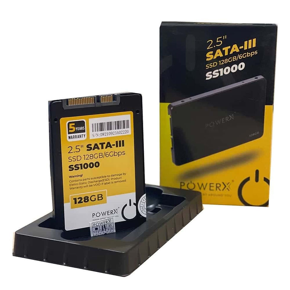 POWERX SS100 INTERNAL SSD(128 GB)