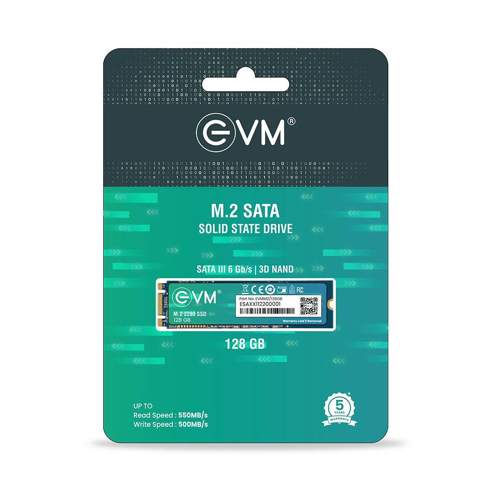 EVM 128GB M.2 (2280) SATA INTERNAL SSD WITH 5-YEAR WARRANTY (EVMM2/128GB)