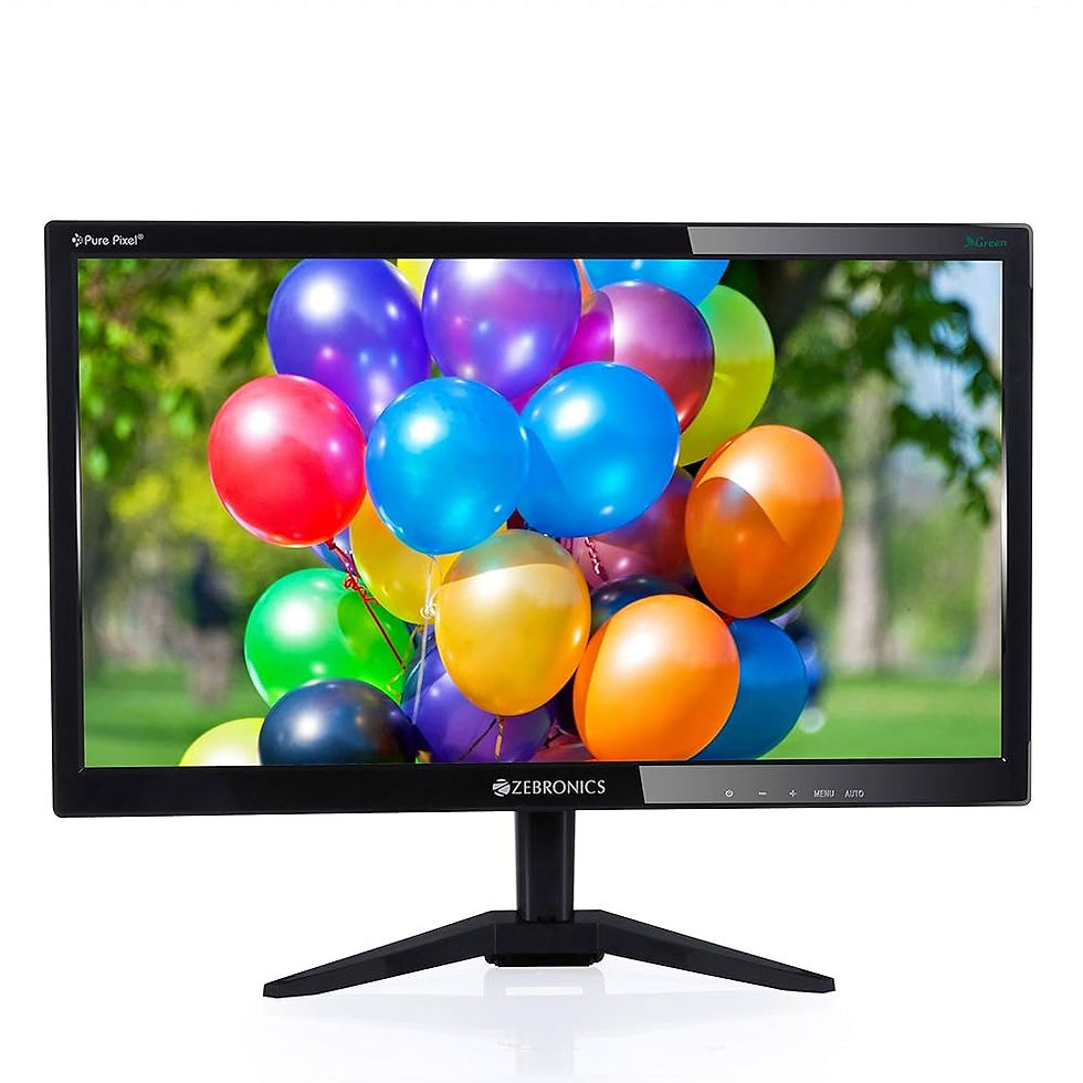 ZEBRONICS MONITOR 19''
