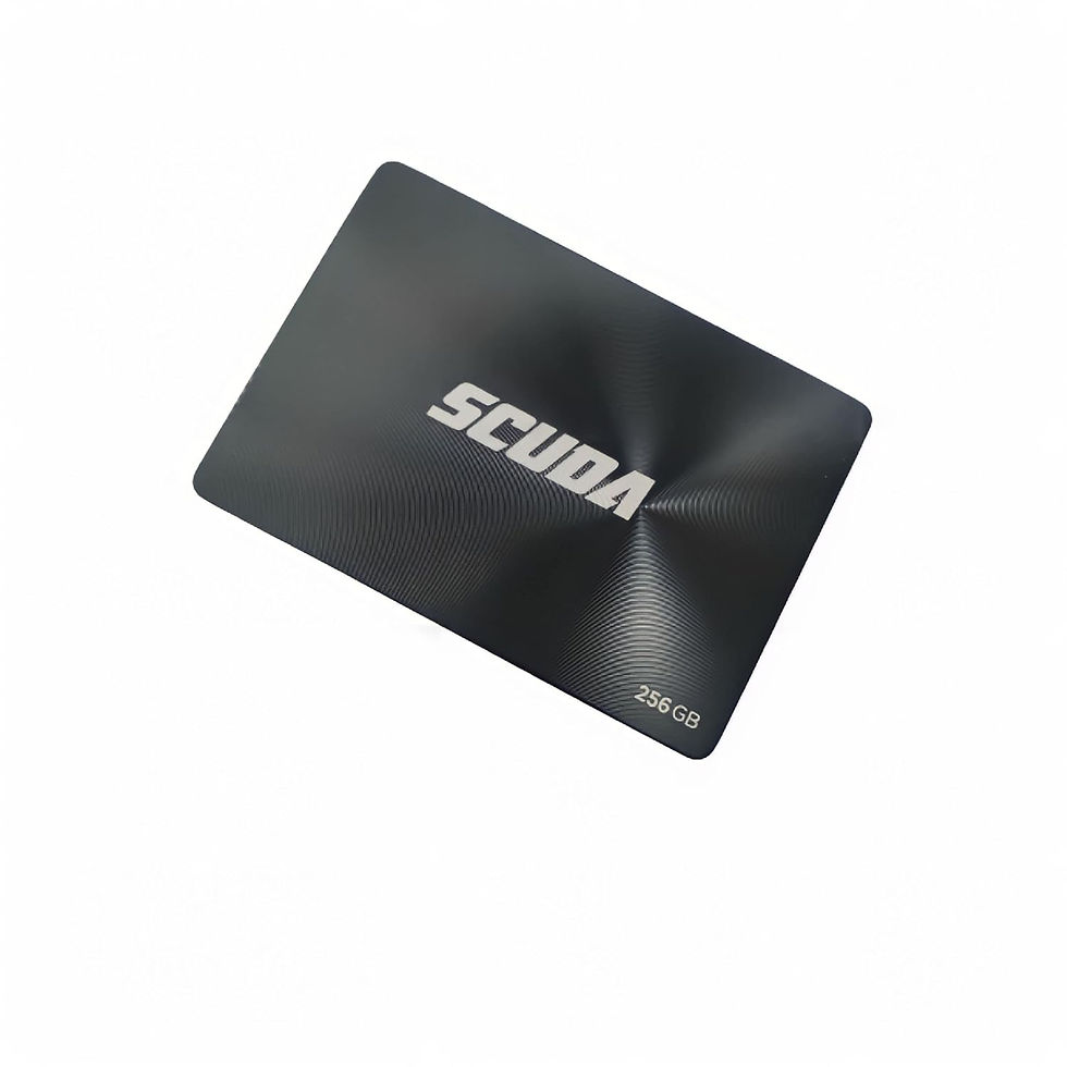 SCUDA 256 GB SSD