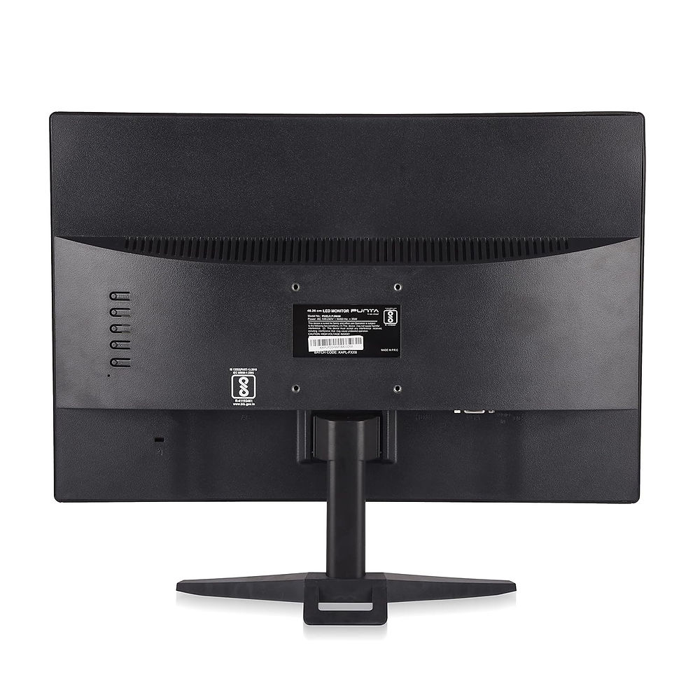 PUNTA 20 INCH MONITOR