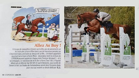selle français SBS zangersheide chevaux à vendre cso stage pensions boxe carrière concours manège obstacle dressage élevage chevaux de sport cheval compétition virginie kasak pierre milon steven le vot charente maritime 17 royan