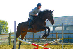 Daphnée de l'Ardente