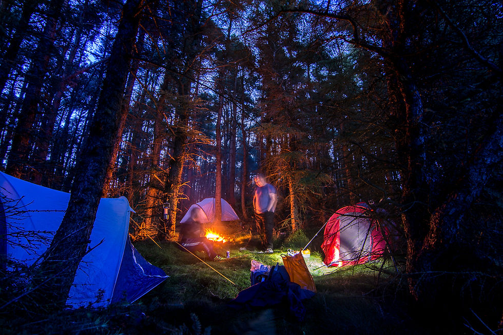 Guisborough woods campsite