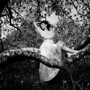 Surrounded By Blossoms, Magnolia Cape