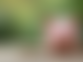 Essential Steps for Newcomers to Prepare for a Mortgage in Canada