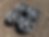 Thumbnail: Leon hardiritt rasen