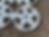 Thumbnail: Faces Weds Kranze Cerberus