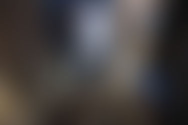 Temakveld om polyneuropati (silosyke) hos hest