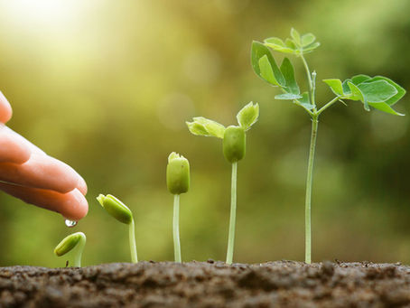 家長須知道子女學好數學的4個要點！！