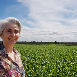 Agricultura irrigada: uma conversa sobre o atual cenário e seus desafios.