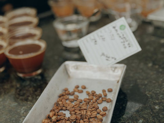 Clima favorece desenvolvimento e reforça expectativa de safra recorde