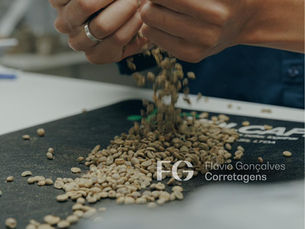 Mesa de classificação de cafés