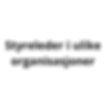 Styreleder i ulike organisasjoner.png