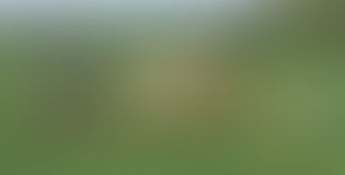Unos 8 mil predios deben tasarse antes de fin de año para optar a rebajas tributarias