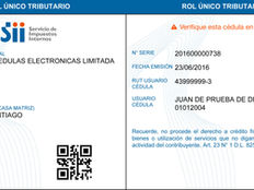 ¿En qué consiste el nuevo e-RUT?