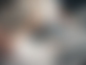 SII publica en Internet catálogo de esquemas tributarios que podrÃan considerarse elusivos