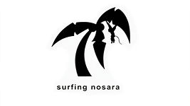 directory_realestate___surfing_nosara_ed