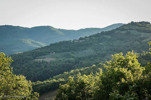 Monterosi Paesaggio 01.jpg