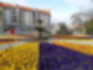 20210426_182313.jpg