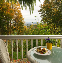 Screenshot 2022-09-03 131657