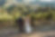Winery Wedding