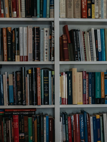BookshelfBlur.jpg