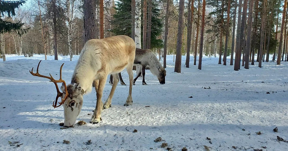 WhatsApp Image 2024-10-27 à 18.15.40_66f5eef5.jpg