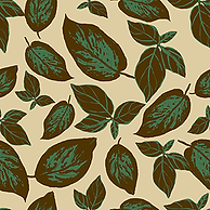 Botanical