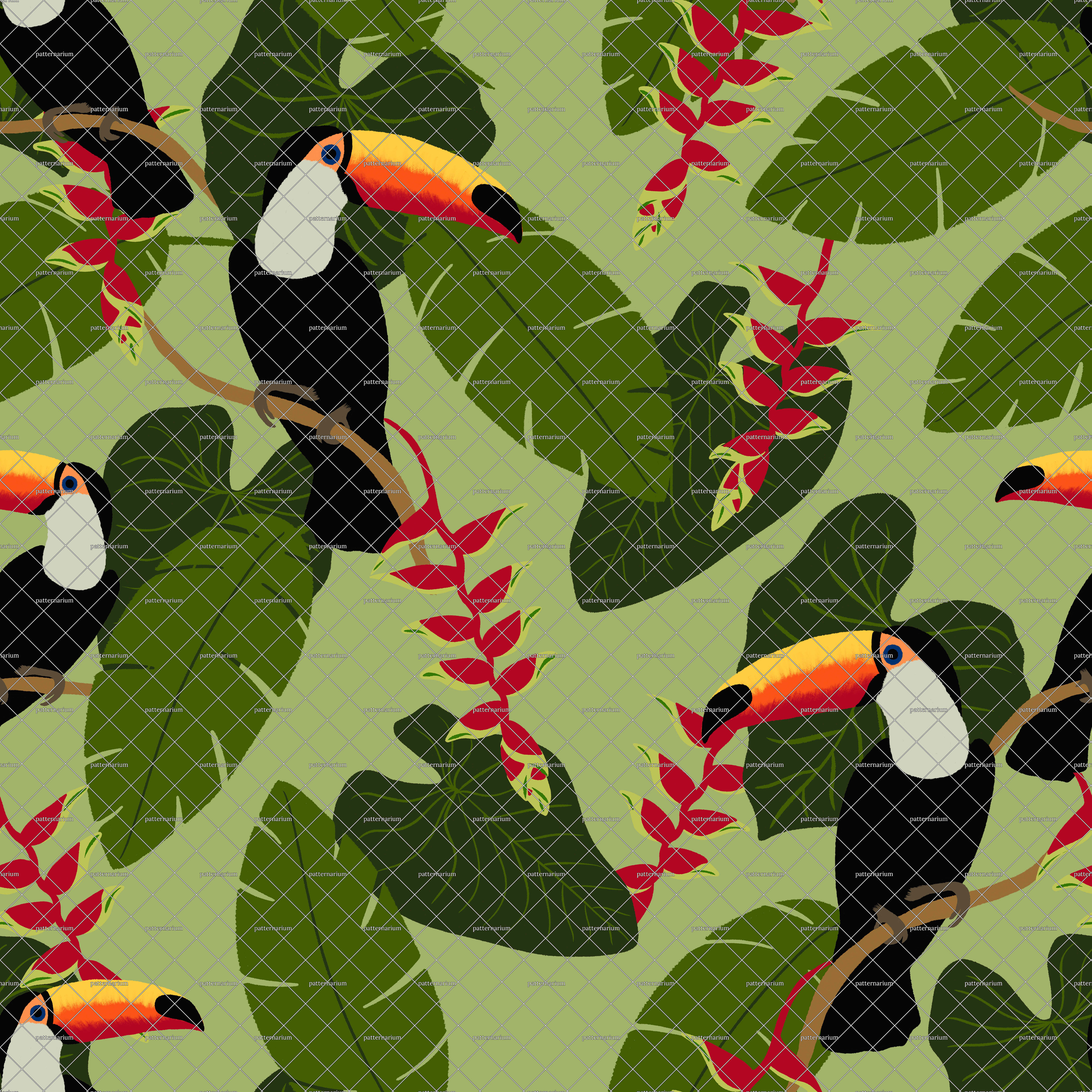 Tropical Toucans